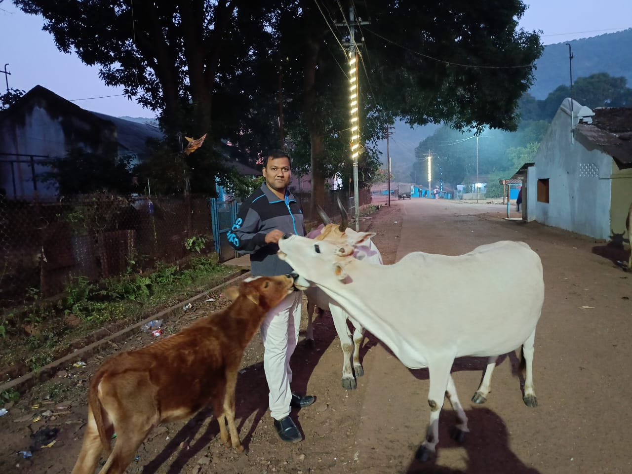 GAUMITRA